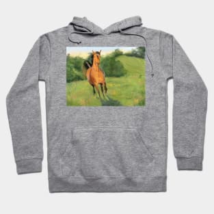 Horse Galloping in a Meadow Hoodie